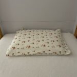 paidiki maksilarothiki manitaria