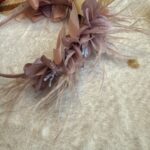 Grandes Suenos - Παιδική Στέκα Ροζ Ανθάκια