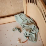 Mushie Pacifier Clips Κλιπ Πιπίλας - Eva  Clementine - Image 4