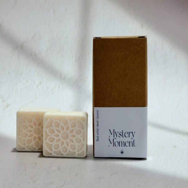 Spitha: WAX MELTS MYSTERY MOMENT