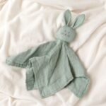 Πανάκι Παρηγοριάς Bunny Μέντα 30cm. 0+ Μηνών
