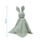 Πανάκι Παρηγοριάς Bunny Μέντα 30cm. 0+ Μηνών - Image 3